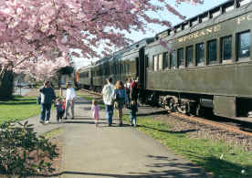 This is a picture of a family walking beside an antique train car with a cherry blossom tree in bloo