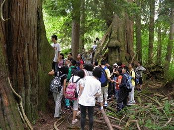 This is a picture of students hiking to the Big Cedar on Meadowbrook Farm.