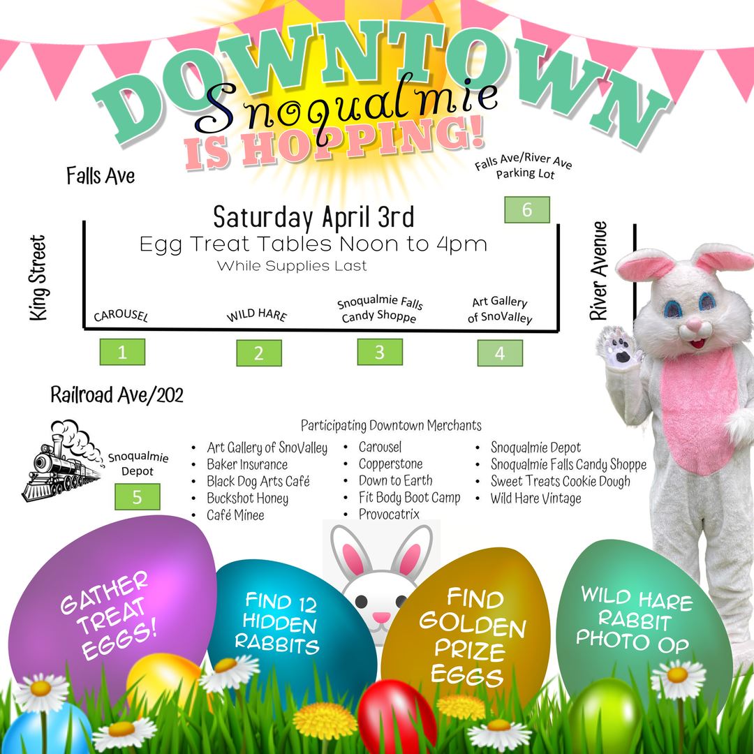 Downtown Hopping Media