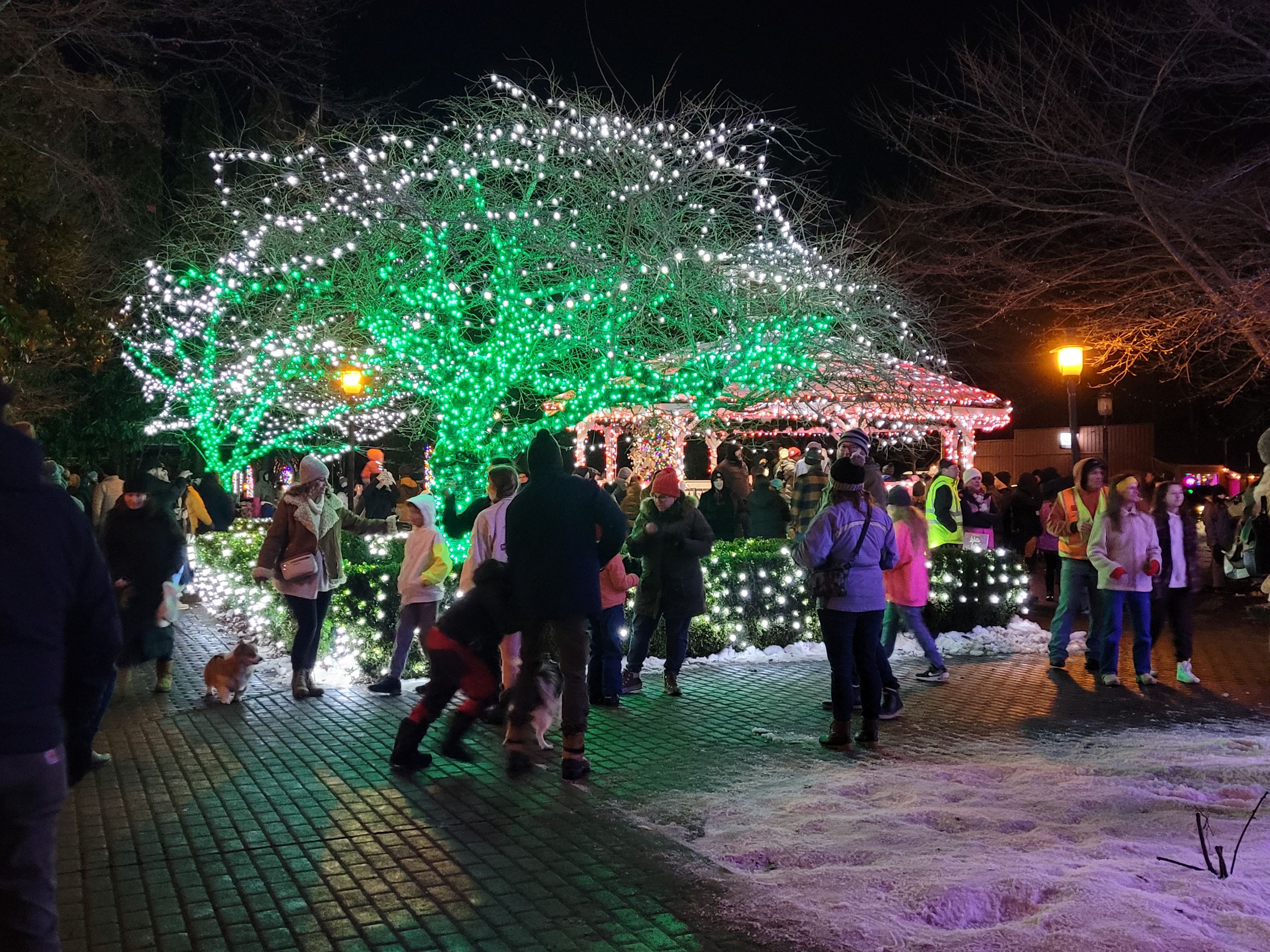 SWL Gazebo and Crowd