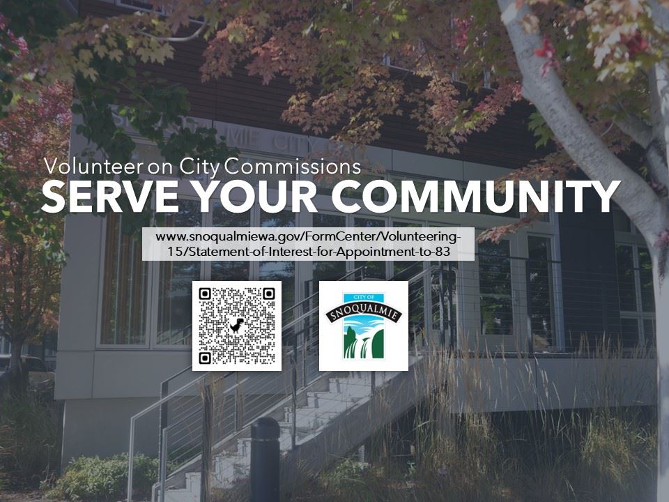 Volunteer on Commissions graphic