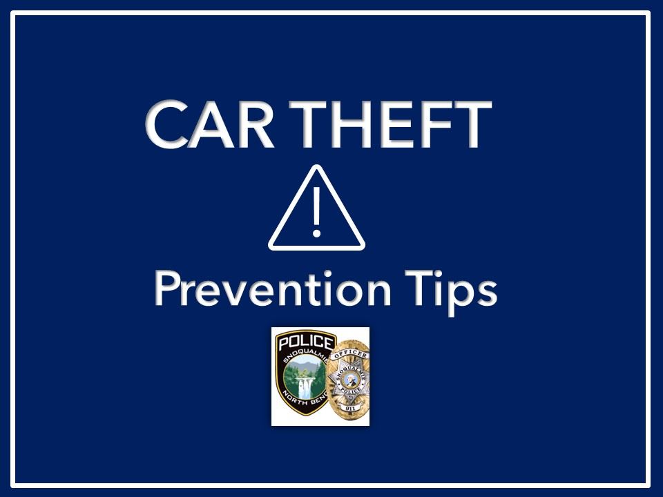 car theft prevention tips