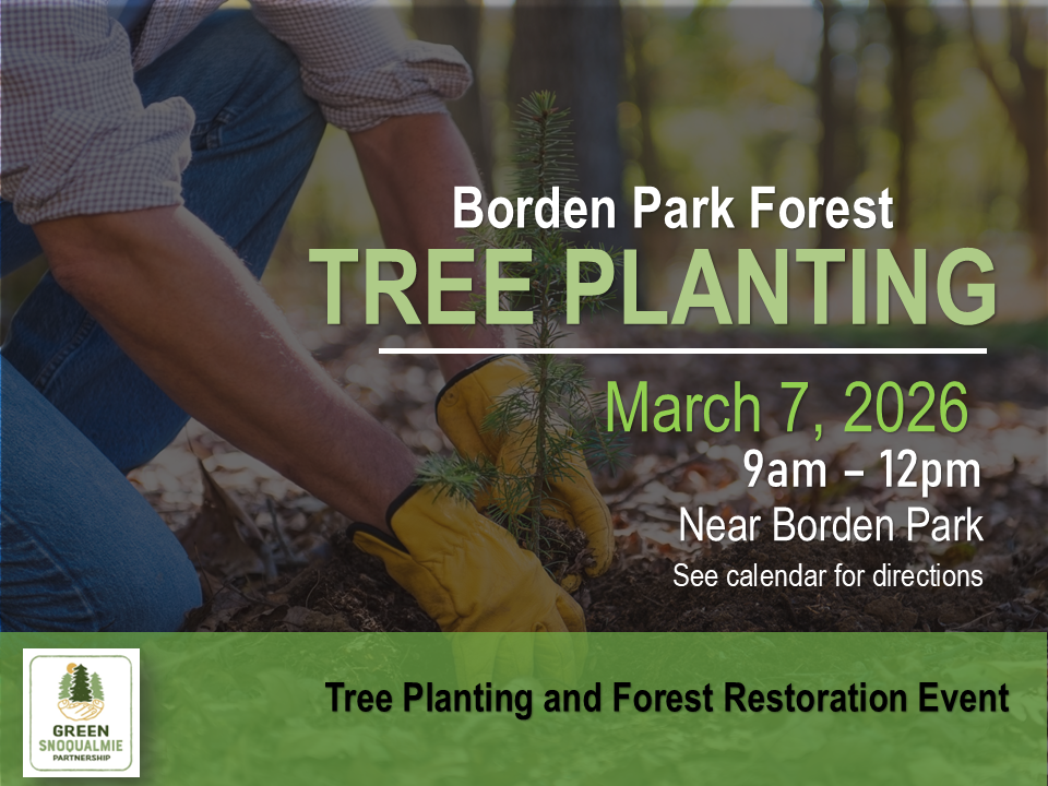 Tree Planting Event at Borden Park March 7, 2026