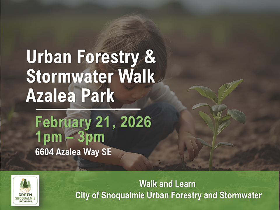 Walk and Learn 2.21.26