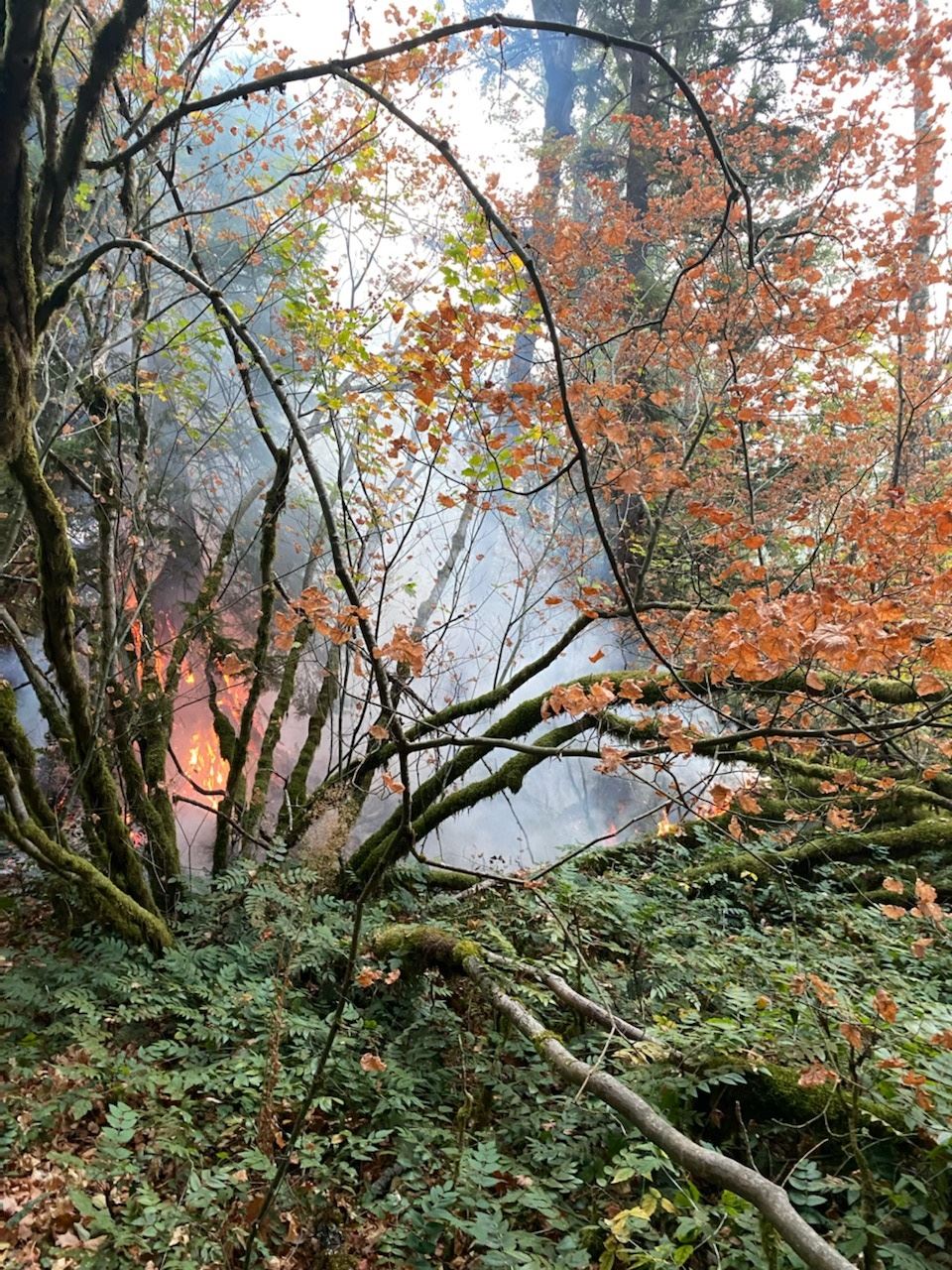 brush fire 2