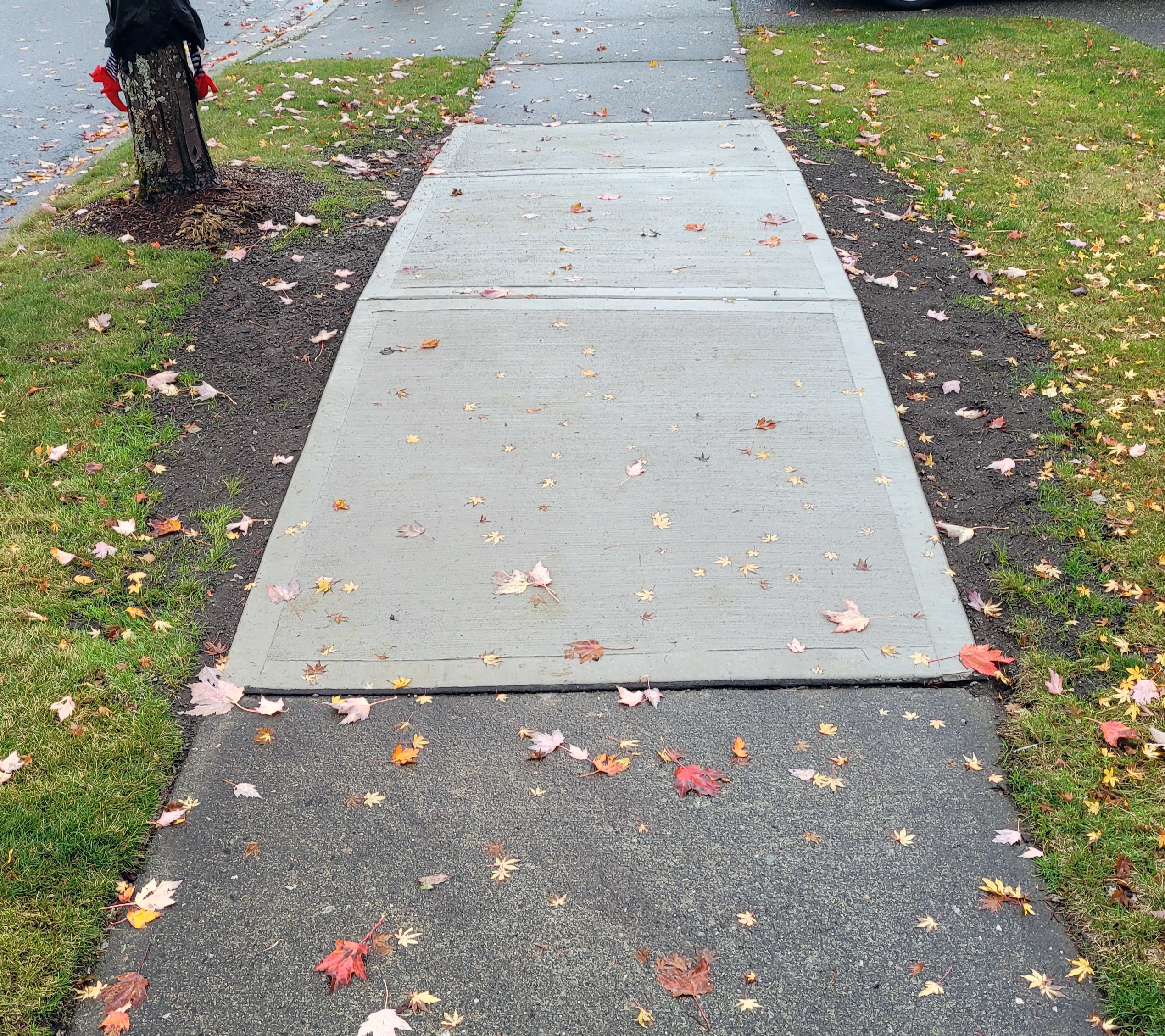City of Snqoualmie Sidewalk Repair 2022